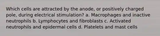 Which cells are attracted by the anode, or positively charged pole, during electrical stimulation? a. Macrophages and inactive neutrophils b. Lymphocytes and fibroblasts c. Activated neutrophils and epidermal cells d. Platelets and mast cells