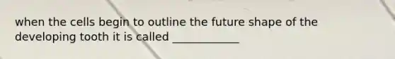 when the cells begin to outline the future shape of the developing tooth it is called ____________