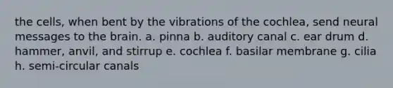 the cells, when bent by the vibrations of the cochlea, send neural messages to <a href='https://www.questionai.com/knowledge/kLMtJeqKp6-the-brain' class='anchor-knowledge'>the brain</a>. a. pinna b. auditory canal c. ear drum d. hammer, anvil, and stirrup e. cochlea f. basilar membrane g. cilia h. semi-circular canals