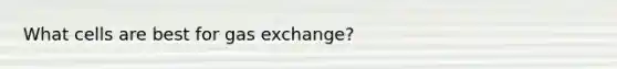 What cells are best for gas exchange?