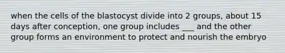 when the cells of the blastocyst divide into 2 groups, about 15 days after conception, one group includes ___ and the other group forms an environment to protect and nourish the embryo