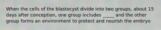 When the cells of the blastocyst divide into two groups, about 15 days after conception, one group includes _____ and the other group forms an environment to protect and nourish the embryo