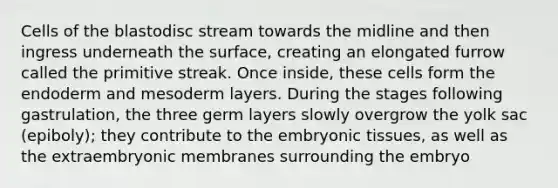 Cells of the blastodisc stream towards the midline and then ingress underneath the surface, creating an elongated furrow called the primitive streak. Once inside, these cells form the endoderm and mesoderm layers. During the stages following gastrulation, the three germ layers slowly overgrow the yolk sac (epiboly); they contribute to the embryonic tissues, as well as the extraembryonic membranes surrounding the embryo