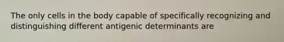 The only cells in the body capable of specifically recognizing and distinguishing different antigenic determinants are