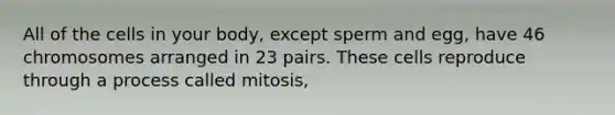 All of the cells in your body, except sperm and egg, have 46 chromosomes arranged in 23 pairs. These cells reproduce through a process called mitosis,