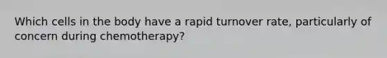 Which cells in the body have a rapid turnover rate, particularly of concern during chemotherapy?