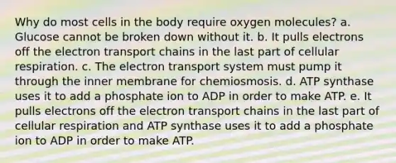 Why do most cells in the body require oxygen molecules? a. Glucose cannot be broken down without it. b. It pulls electrons off the electron transport chains in the last part of cellular respiration. c. The electron transport system must pump it through the inner membrane for chemiosmosis. d. ATP synthase uses it to add a phosphate ion to ADP in order to make ATP. e. It pulls electrons off the electron transport chains in the last part of cellular respiration and ATP synthase uses it to add a phosphate ion to ADP in order to make ATP.