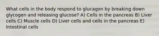 What cells in the body respond to glucagon by breaking down glycogen and releasing glucose? A) Cells in <a href='https://www.questionai.com/knowledge/kITHRba4Cd-the-pancreas' class='anchor-knowledge'>the pancreas</a> B) Liver cells C) Muscle cells D) Liver cells and cells in the pancreas E) Intestinal cells