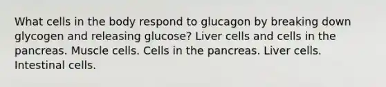 What cells in the body respond to glucagon by breaking down glycogen and releasing glucose? Liver cells and cells in <a href='https://www.questionai.com/knowledge/kITHRba4Cd-the-pancreas' class='anchor-knowledge'>the pancreas</a>. Muscle cells. Cells in the pancreas. Liver cells. Intestinal cells.