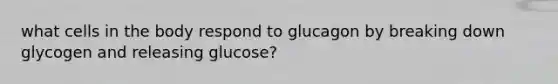 what cells in the body respond to glucagon by breaking down glycogen and releasing glucose?