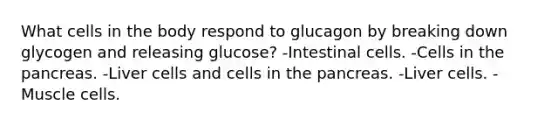 What cells in the body respond to glucagon by breaking down glycogen and releasing glucose? -Intestinal cells. -Cells in the pancreas. -Liver cells and cells in the pancreas. -Liver cells. -Muscle cells.