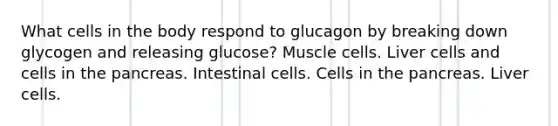 What cells in the body respond to glucagon by breaking down glycogen and releasing glucose? Muscle cells. Liver cells and cells in the pancreas. Intestinal cells. Cells in the pancreas. Liver cells.