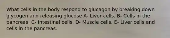 What cells in the body respond to glucagon by breaking down glycogen and releasing glucose A- Liver cells. B- Cells in <a href='https://www.questionai.com/knowledge/kITHRba4Cd-the-pancreas' class='anchor-knowledge'>the pancreas</a>. C- Intestinal cells. D- Muscle cells. E- Liver cells and cells in the pancreas.