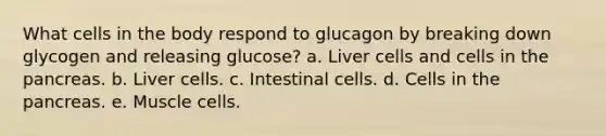 What cells in the body respond to glucagon by breaking down glycogen and releasing glucose? a. Liver cells and cells in the pancreas. b. Liver cells. c. Intestinal cells. d. Cells in the pancreas. e. Muscle cells.