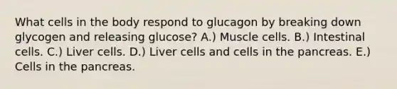 What cells in the body respond to glucagon by breaking down glycogen and releasing glucose? A.) Muscle cells. B.) Intestinal cells. C.) Liver cells. D.) Liver cells and cells in the pancreas. E.) Cells in the pancreas.