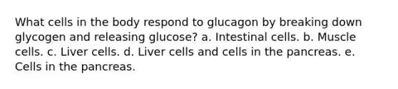 What cells in the body respond to glucagon by breaking down glycogen and releasing glucose? a. Intestinal cells. b. Muscle cells. c. Liver cells. d. Liver cells and cells in the pancreas. e. Cells in the pancreas.