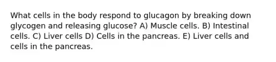 What cells in the body respond to glucagon by breaking down glycogen and releasing glucose? A) Muscle cells. B) Intestinal cells. C) Liver cells D) Cells in the pancreas. E) Liver cells and cells in the pancreas.