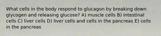 What cells in the body respond to glucagon by breaking down glycogen and releasing glucose? A) muscle cells B) intestinal cells C) liver cells D) liver cells and cells in the pancreas E) cells in the pancreas