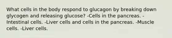 What cells in the body respond to glucagon by breaking down glycogen and releasing glucose? -Cells in the pancreas. -Intestinal cells. -Liver cells and cells in the pancreas. -Muscle cells. -Liver cells.