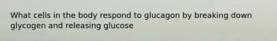 What cells in the body respond to glucagon by breaking down glycogen and releasing glucose