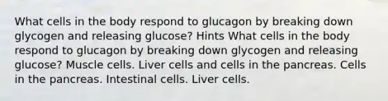 What cells in the body respond to glucagon by breaking down glycogen and releasing glucose? Hints What cells in the body respond to glucagon by breaking down glycogen and releasing glucose? Muscle cells. Liver cells and cells in the pancreas. Cells in the pancreas. Intestinal cells. Liver cells.