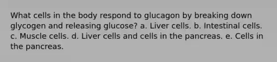 What cells in the body respond to glucagon by breaking down glycogen and releasing glucose? a. Liver cells. b. Intestinal cells. c. Muscle cells. d. Liver cells and cells in <a href='https://www.questionai.com/knowledge/kITHRba4Cd-the-pancreas' class='anchor-knowledge'>the pancreas</a>. e. Cells in the pancreas.