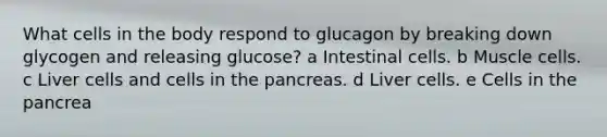 What cells in the body respond to glucagon by breaking down glycogen and releasing glucose? a Intestinal cells. b Muscle cells. c Liver cells and cells in the pancreas. d Liver cells. e Cells in the pancrea