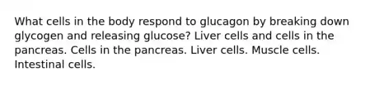 What cells in the body respond to glucagon by breaking down glycogen and releasing glucose? Liver cells and cells in the pancreas. Cells in the pancreas. Liver cells. Muscle cells. Intestinal cells.