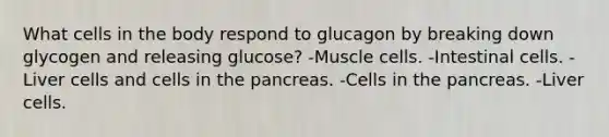 What cells in the body respond to glucagon by breaking down glycogen and releasing glucose? -Muscle cells. -Intestinal cells. -Liver cells and cells in the pancreas. -Cells in the pancreas. -Liver cells.