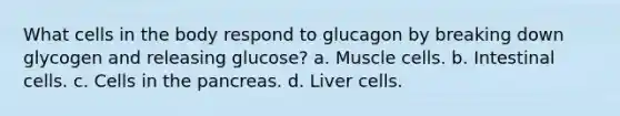 What cells in the body respond to glucagon by breaking down glycogen and releasing glucose? a. Muscle cells. b. Intestinal cells. c. Cells in <a href='https://www.questionai.com/knowledge/kITHRba4Cd-the-pancreas' class='anchor-knowledge'>the pancreas</a>. d. Liver cells.