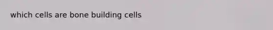 which cells are bone building cells