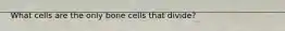 What cells are the only bone cells that divide?