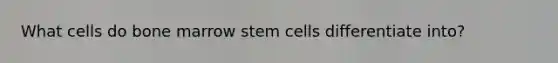 What cells do bone marrow stem cells differentiate into?