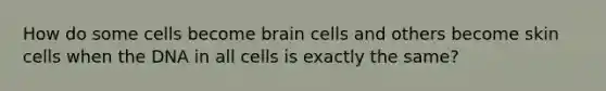 How do some cells become brain cells and others become skin cells when the DNA in all cells is exactly the same?