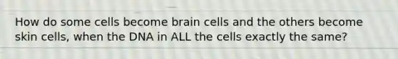 How do some cells become brain cells and the others become skin cells, when the DNA in ALL the cells exactly the same?