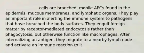 ________________ cells are branched, mobile APCs found in the epidermis, mucous membranes, and lymphatic organs. They play an important role in alerting the immune system to pathogens that have breached the body surfaces. They engulf foreign matter by receptor-mediated endocytosis rather than phagocytosis, but otherwise function like macrophages. After internalizing an antigen, they migrate to a nearby lymph node and activate an immune reaction to it.