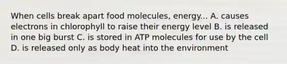 When cells break apart food molecules, energy... A. causes electrons in chlorophyll to raise their energy level B. is released in one big burst C. is stored in ATP molecules for use by the cell D. is released only as body heat into the environment