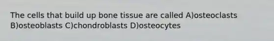 The cells that build up bone tissue are called A)osteoclasts B)osteoblasts C)chondroblasts D)osteocytes