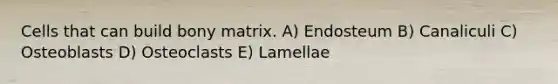 Cells that can build bony matrix. A) Endosteum B) Canaliculi C) Osteoblasts D) Osteoclasts E) Lamellae