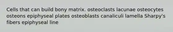 Cells that can build bony matrix. osteoclasts lacunae osteocytes osteons epiphyseal plates osteoblasts canaliculi lamella Sharpy's fibers epiphyseal line