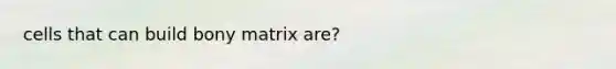 cells that can build bony matrix are?