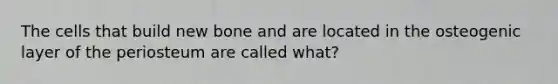 The cells that build new bone and are located in the osteogenic layer of the periosteum are called what?