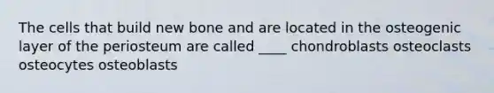 The cells that build new bone and are located in the osteogenic layer of the periosteum are called ____ chondroblasts osteoclasts osteocytes osteoblasts