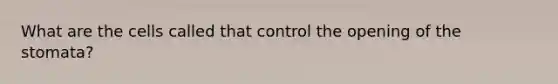 What are the cells called that control the opening of the stomata?