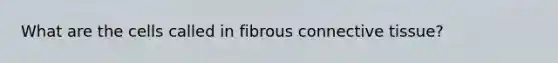 What are the cells called in fibrous connective tissue?