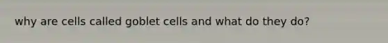 why are cells called goblet cells and what do they do?