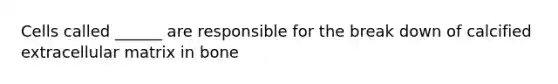 Cells called ______ are responsible for the break down of calcified extracellular matrix in bone