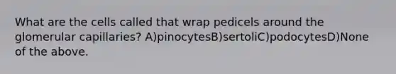 What are the cells called that wrap pedicels around the glomerular capillaries? A)pinocytesB)sertoliC)podocytesD)None of the above.