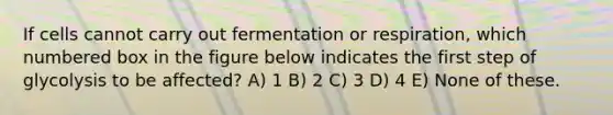 If cells cannot carry out fermentation or respiration, which numbered box in the figure below indicates the first step of glycolysis to be affected? A) 1 B) 2 C) 3 D) 4 E) None of these.