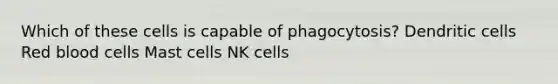 Which of these cells is capable of phagocytosis? Dendritic cells Red blood cells Mast cells NK cells